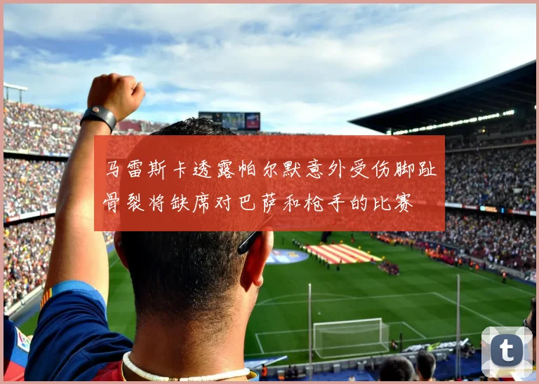 马雷斯卡透露帕尔默意外受伤脚趾骨裂将缺席对巴萨和枪手的比赛