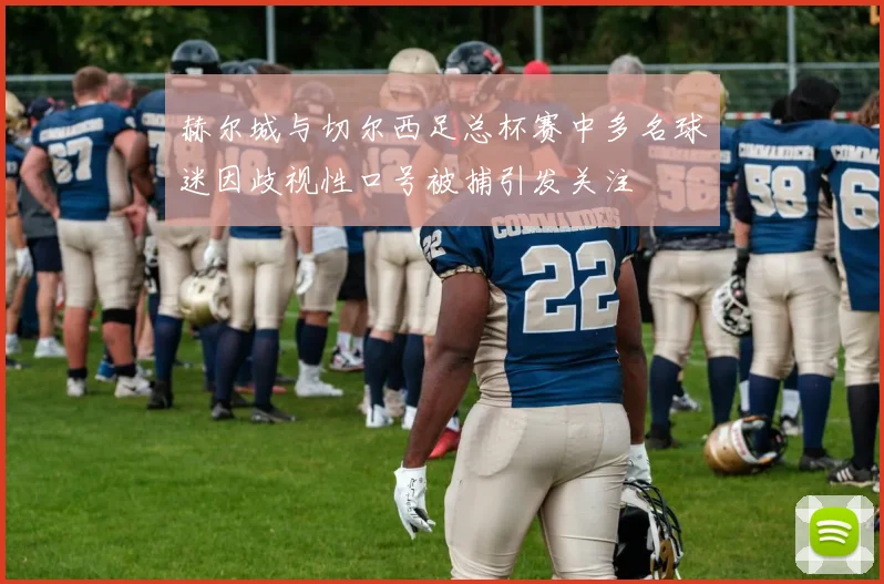 赫尔城与切尔西足总杯赛中多名球迷因歧视性口号被捕引发关注
