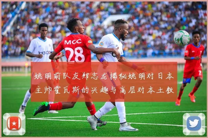 姚明前队友郑志龙揭秘姚明对日本主帅霍瓦斯的兴趣与高层对本土教练的偏好
